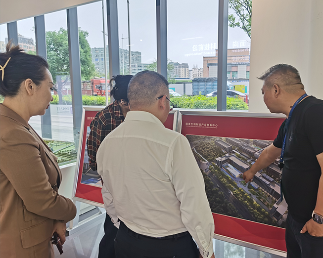 与技术公司安各洛友好洽谈