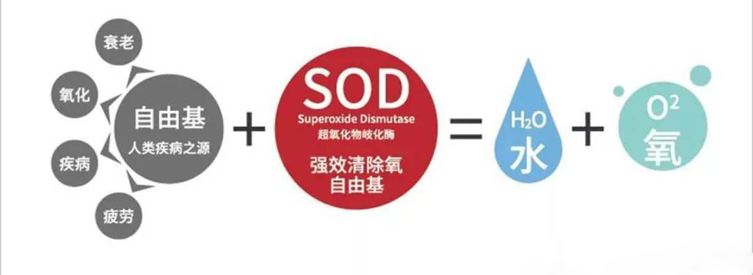 SOD的八大特性