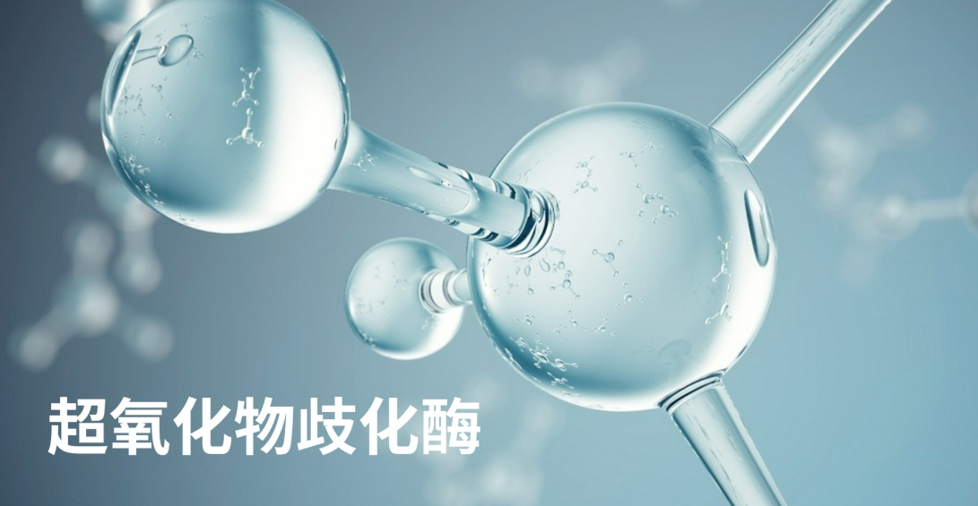 美见合成生物核心原料SOD